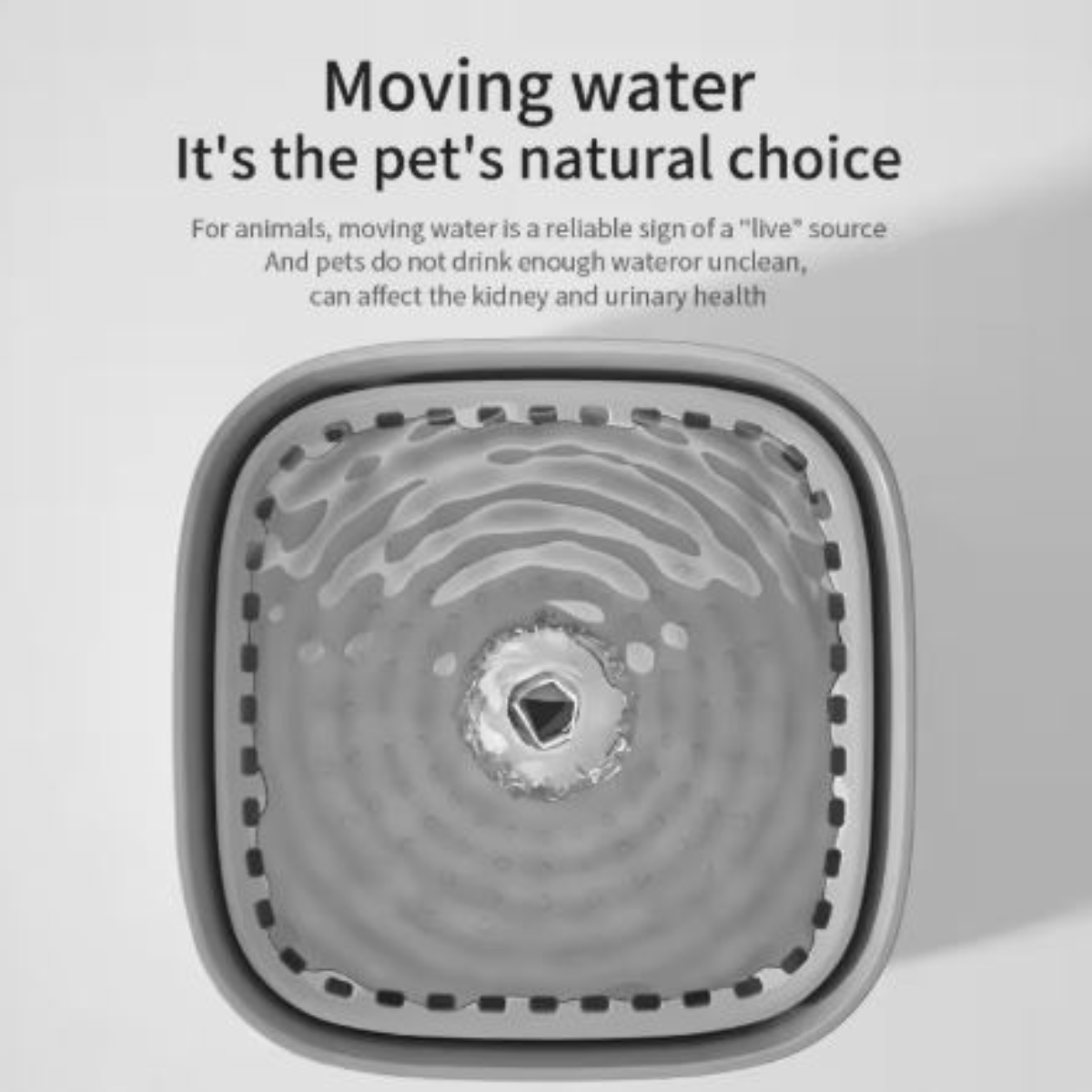 3L USB Cat Water Fountain โ Quiet, Filtered, Auto Recirculate