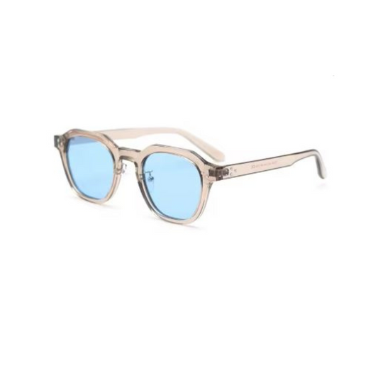 Modern Retro Clear Frame Sunglasses