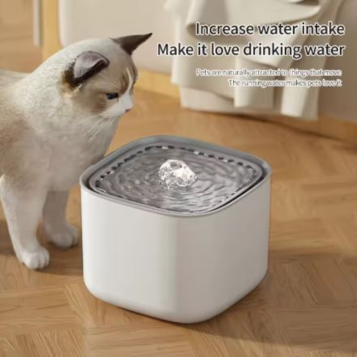3L USB Cat Water Fountain – Quiet, Filtered, Auto Recirculate